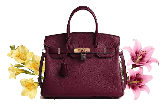 Brands - Cartera
